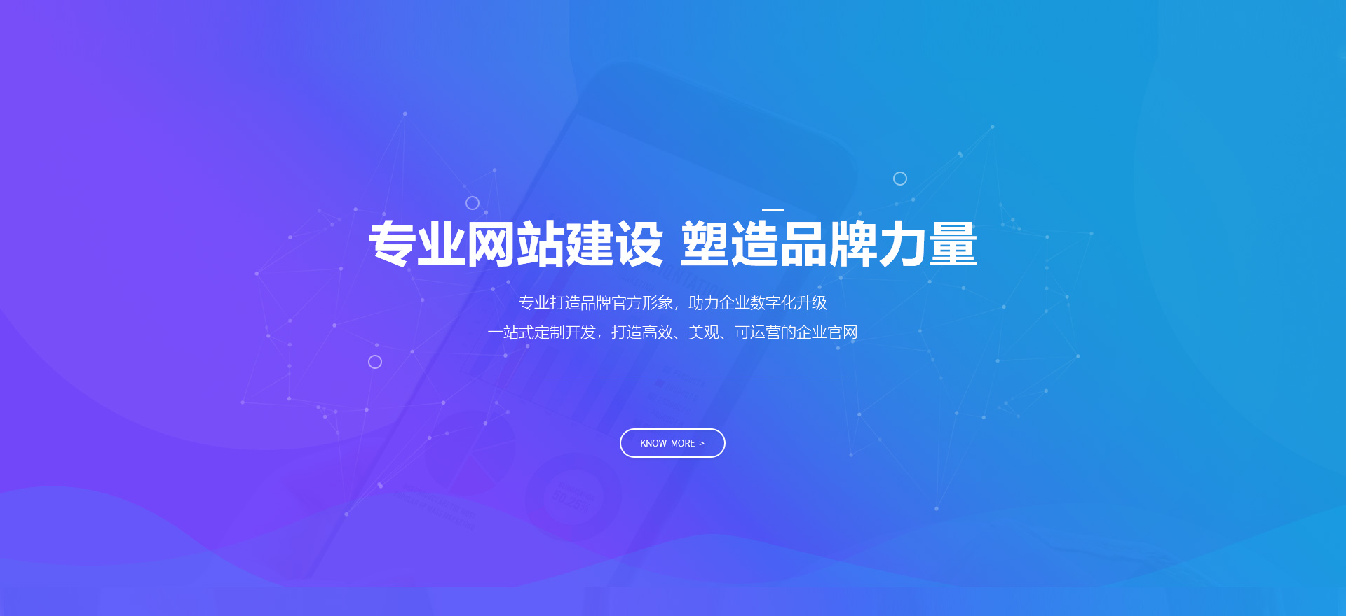 信州建站-专业网站建设 塑造品牌力量