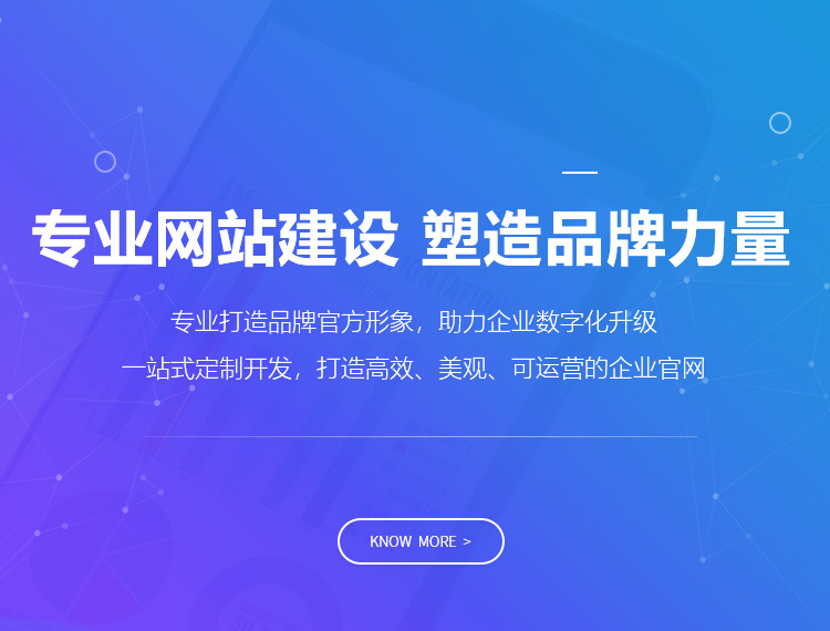 信州建站-专业网站建设 塑造品牌力量